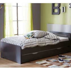 https://www.alfredetcompagnie.com/12360-home_default/pull-out-bed-190cm-with-bed-bases-rose-bathelemy-anthracite-grey.jpg