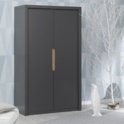 https://www.alfredetcompagnie.com/12379-home_default/wardrobe-2-doors-anthracite-grey.jpg