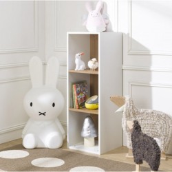 https://www.alfredetcompagnie.com/13054-home_default/bookcase-3-compartments-100x35x35-white.jpg