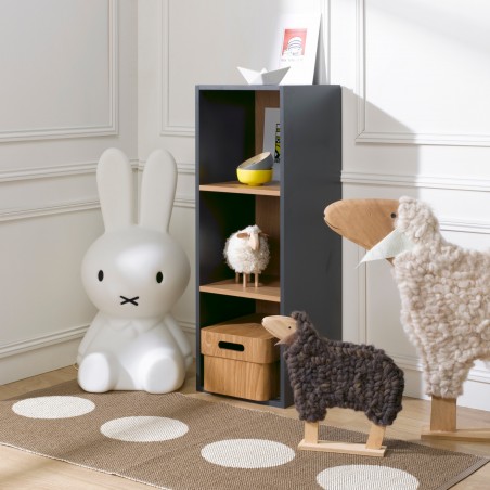 bookcase 3 compartments kidsroom