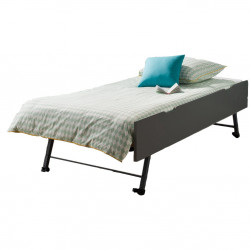 https://www.alfredetcompagnie.com/6573-home_default/pull-out-bed-drawer-90x200x29-anthracite.jpg