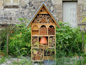 Fabriquez un hôtel à insectes avec vos enfants !